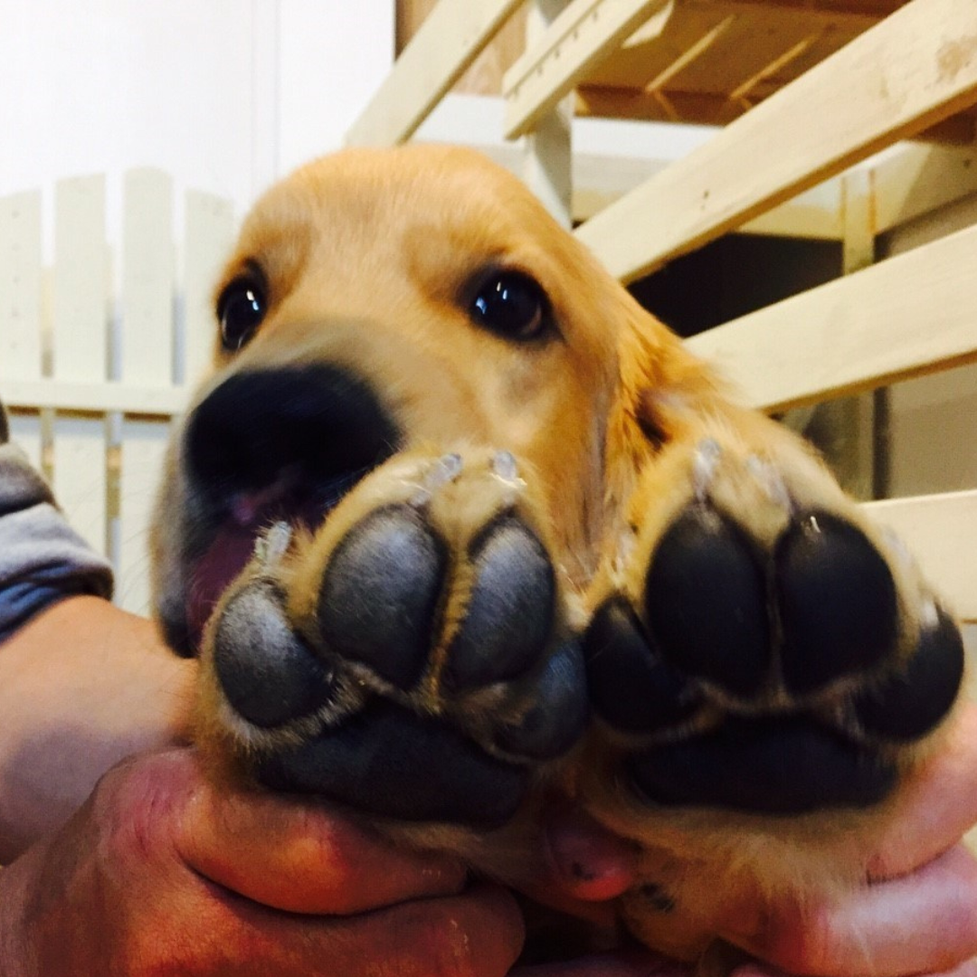 ������������Ă���